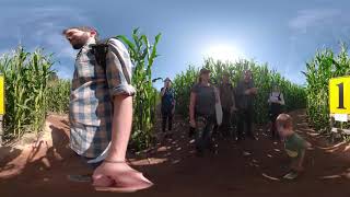 2019 Pumpkin Patch 360