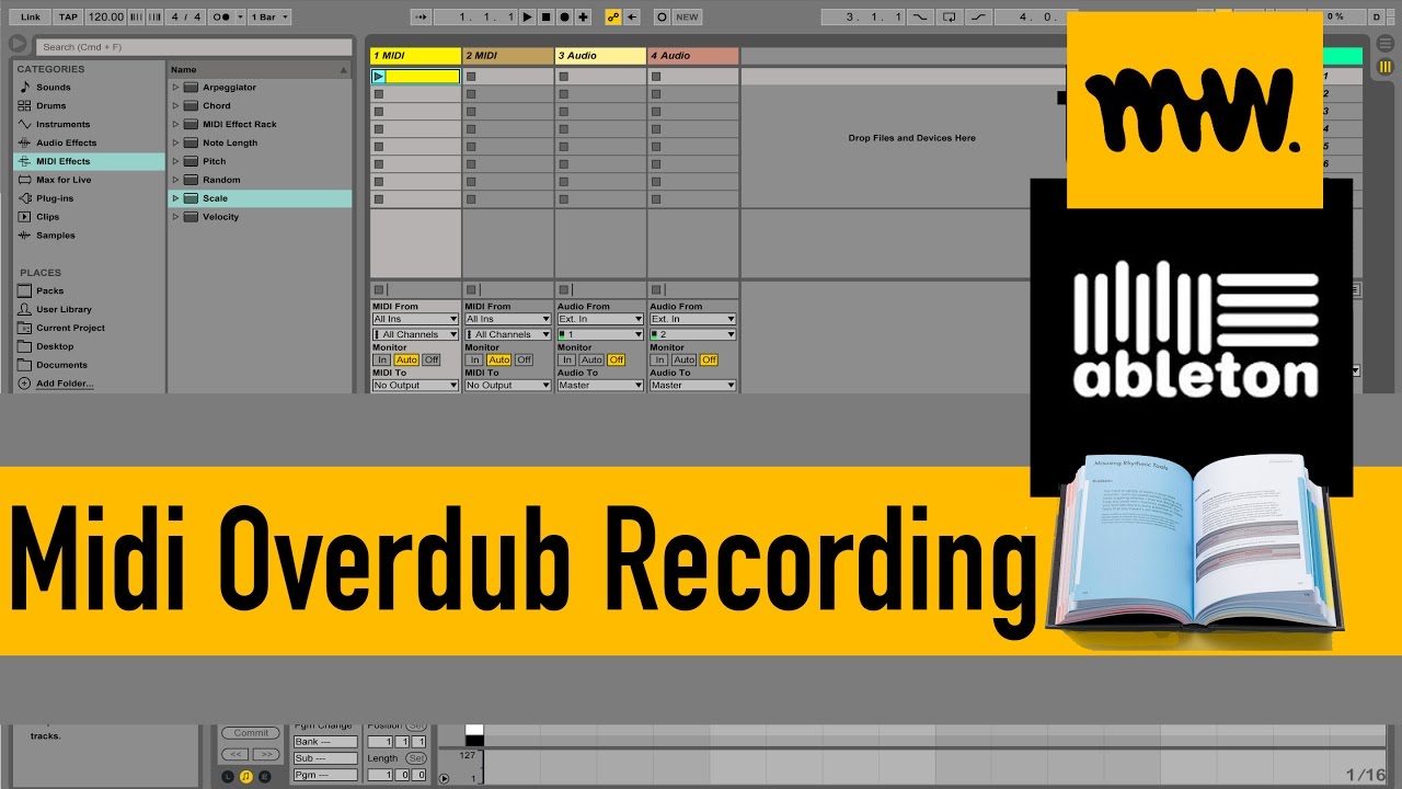 Midi Overdub Everything you need to know Session View Edition