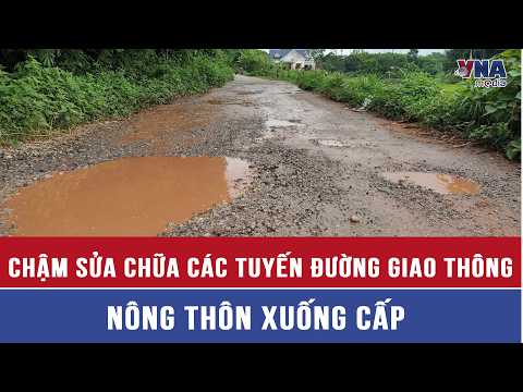 Slow progress in repairing dilapidated rural roads - VNAMedia