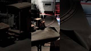 coal-fired narrow-gauge field railway 🔥💨🚂Scale 1:13#livesteam #herrmannechtdampf #gscale#narrowgauge