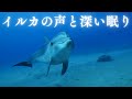 イルカの声と睡眠用BGMで深い眠りへ💤超熟睡睡眠用BGM!抜群の疲労回復効果で睡眠の質を上げる水中ベッド💤ソルフェジオ周波数 寝る時に聞く音楽🎵リラックス・ストレス解消 瞑想 水中音 曲 快眠