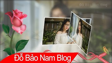 Share style Proshow Producer hoa hồng tình yêu hiệu ứng đẹp mới nhất