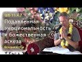 2019-05-25 - ШБ 11.4.7 - Подавленная эмоциональность и божественная аскеза (Владивосток, храм)