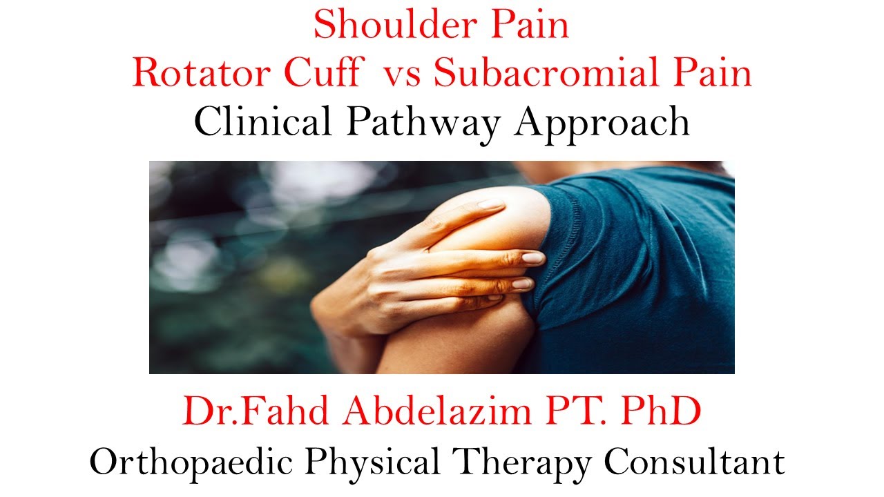 shoulder pain rotator cuff vs subacromial pain clinical pathway approach 1