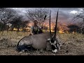 Oryx Pirsch | Faszination Jagd in Namibia - Jagdkrone