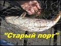 Рыбалка. Днестр."Старый порт" Кладоискатели Одессы.