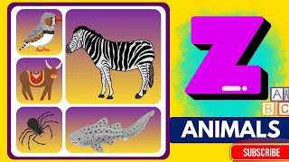 10 Animals That Start With Z Abc Animals A To Z Learning Animal Names For Kids