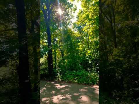 Het bos!! #nature