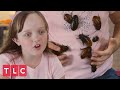 Obsessed with Collecting Cockroaches | My Kid