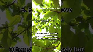 30 The Truth About Relationships