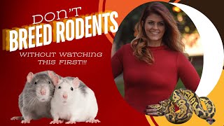 Full Tutorial and Hot Tips for Rodent Breeding