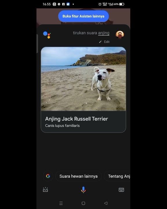 ½ detik suara anjing (buat notif)