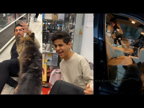 دخلت جلب بوليسي لمحل السيد وبي زبائن وصارت طركاعه جبيره