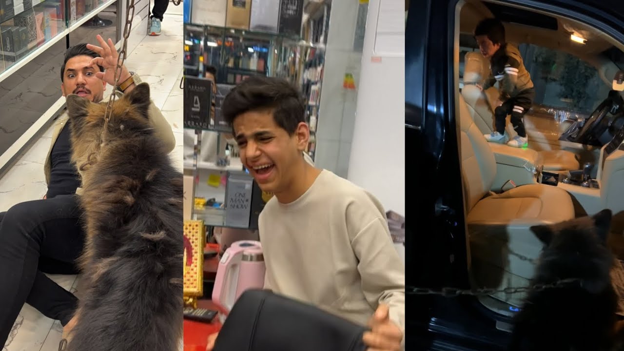 دخلت جلب بوليسي لمحل السيد وبي زبائن وصارت طركاعه جبيره🐕‍🦺🔥