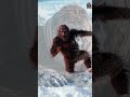 "Wildman Wants Visa – Practicing Vlog on Kashmir Snow"
