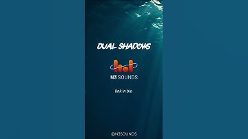 Dual Shadows | Orchestral Fusion Instrumental Reflecting Life