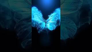 Nature Beautiful butterfly gif animation