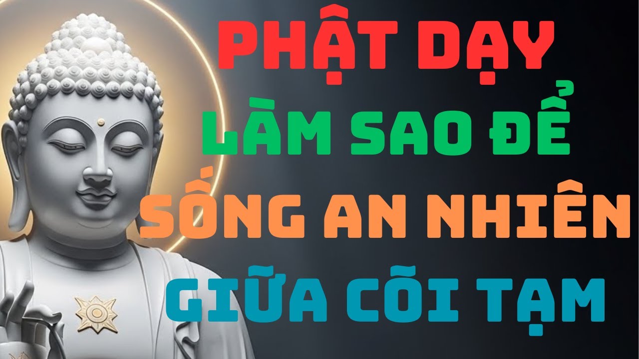 Làm Sao Để Sống An Nhiên Giữa Cõi Tạm, Lời Phật Dạy Ai Cũng Nên Nghe