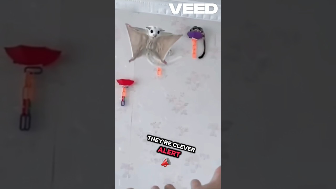 The Brave Little Explorers: How Squirrels Protect Their Nests and Loved Ones 