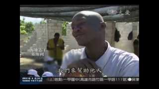 慈济海地種辣木20111007三個月後