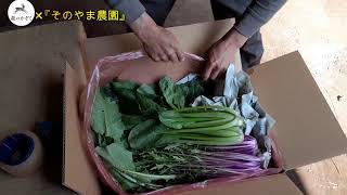 ふるさと納税　湧水町　野菜セット　ニンジンジュース入り！