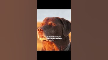 cs2 might need bigger hitboxes… #shorts #cs2