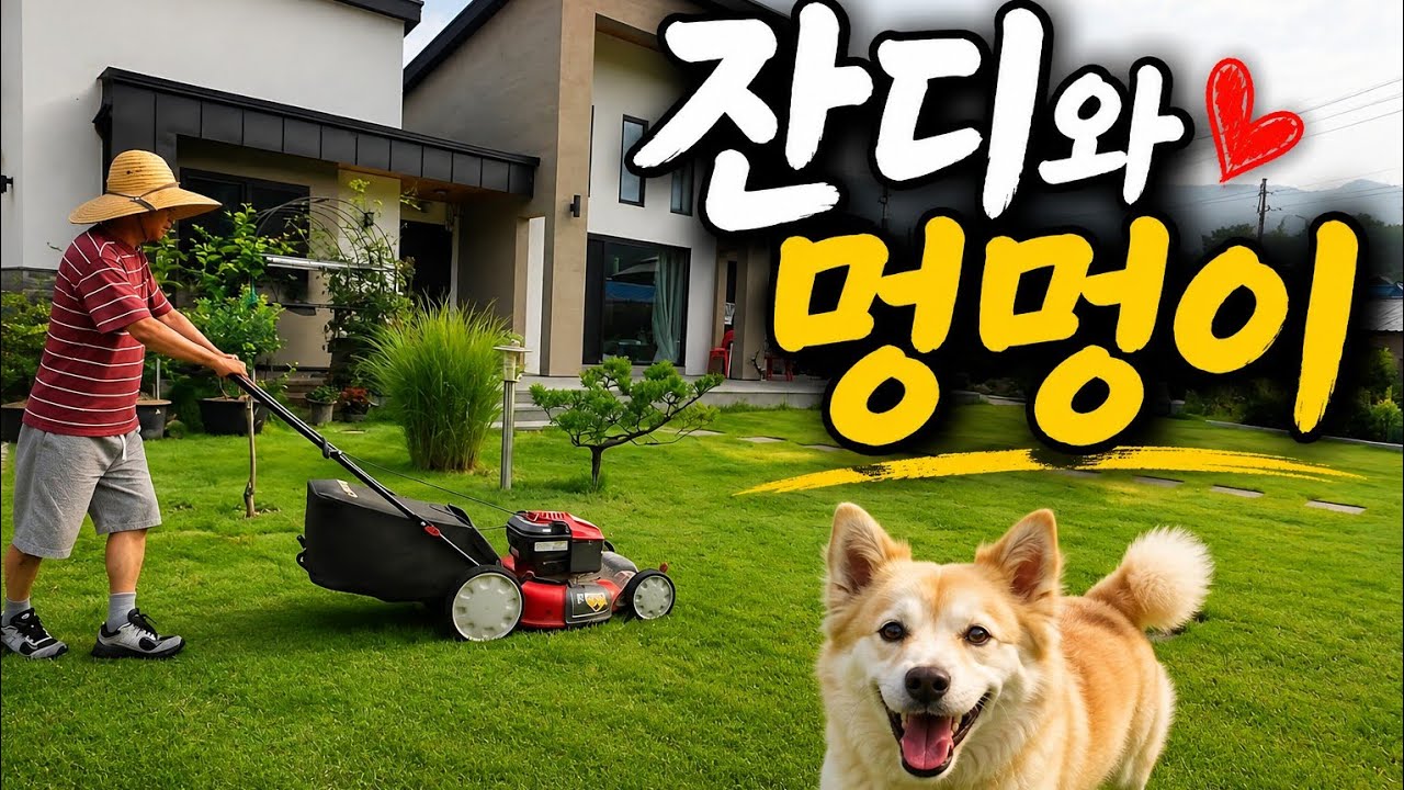 마당 잔디도 이발하고 멍멍이 밥 챙기고