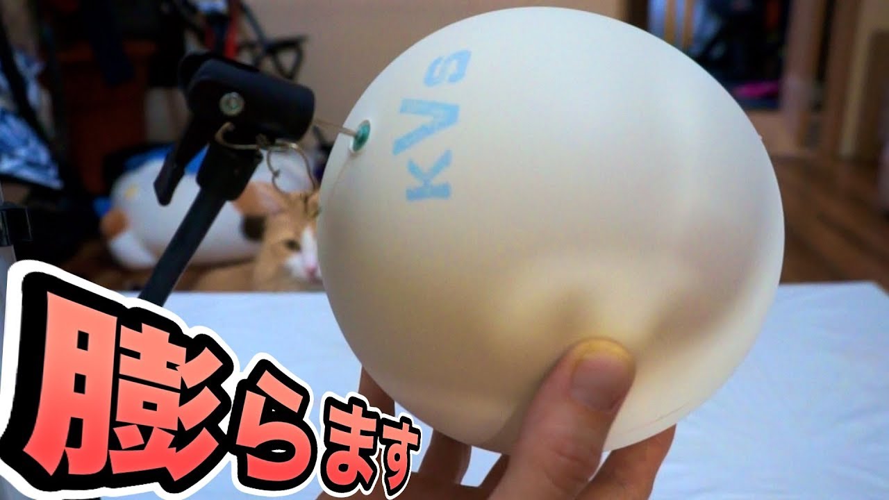 ソフトテニスボール限界まで膨らませてみた結果 Pds Youtube ソフトテニスボール限界まで膨らませてみた結果 Pds Youtube