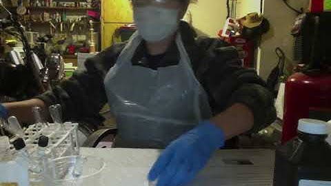 Lab 6 | Biochemical Testing for Microbial Identification | Exp 1 (pt 1) & 2 Video | Marissa Estrada