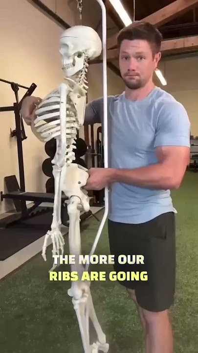 The Top 3 Keys To Fix Anterior Pelvic Tilt You MUST Know #posture #posturecorrection #lowbackpain