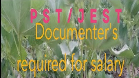 PST/JEST..Documents for salary.