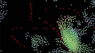 Boids Simulation
