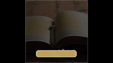 سعد الغامدي| حالات واتس اب دينية سورة يس 🥰💛