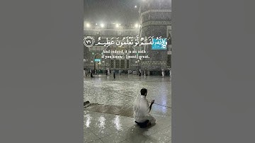 فلا أقسم بمواقع النجوم. ❤️ #تلاوة_خاشعة #ارحقلبك #ياسر_الدوسري #قرآن #ارحسمعك #قرانكريم #تلاوات