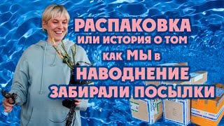 : || . # # # # #
