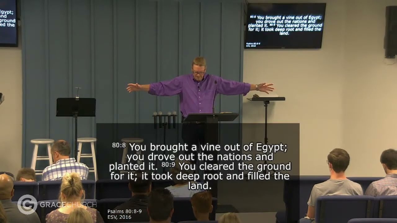 Holy Root & Holy Branches (Romans 11:16-17)