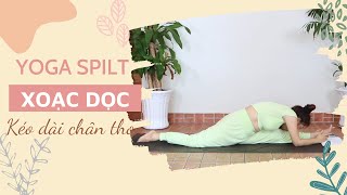 Bài 24: Yoga Xoạc Dọc Split Đơn Giản Và An Toàn  - Kéo Chân Thon Dài | Hướng Dẫn Yoga Cơ Bản Tại Nhà