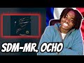 SDM - Mr.Ocho | REACTION!!! (FRENCH RAP)