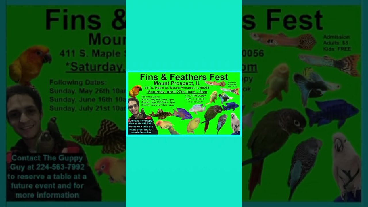 We are 1 WEEK away from our next Fins & Feathers Fest in Mount Prospect, IL
