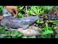 Amazing Big Fish_Catching Big & A lot of Fish in Hole By Fisherman Skill