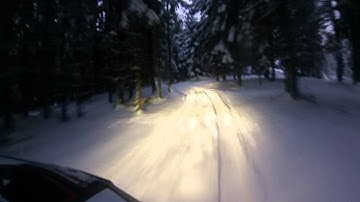 Polaris RZR 1000 Forrest and Snow
