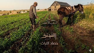 من قلب الطبيعة عودة إلى الزمن الجميل في حرث الأرض. الحياة في القرية متعة العمل بجد في الحقل ذرى