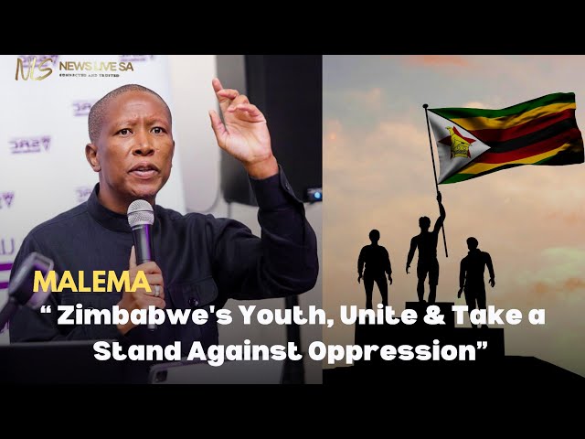Julius Malema: Zimbabwean Youth Must Rise Against Tyranny & Unite