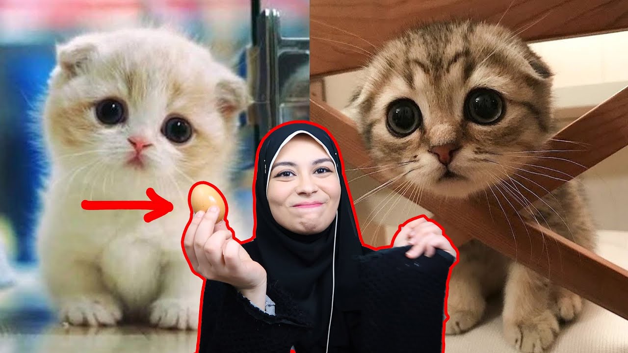 اتحداك تقول يا عسل 💓! والعقاب عذاب..