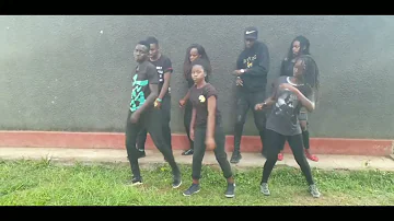 Fik fameica X spice Diana Ready dance video by elite dance crew watch till the end #trending