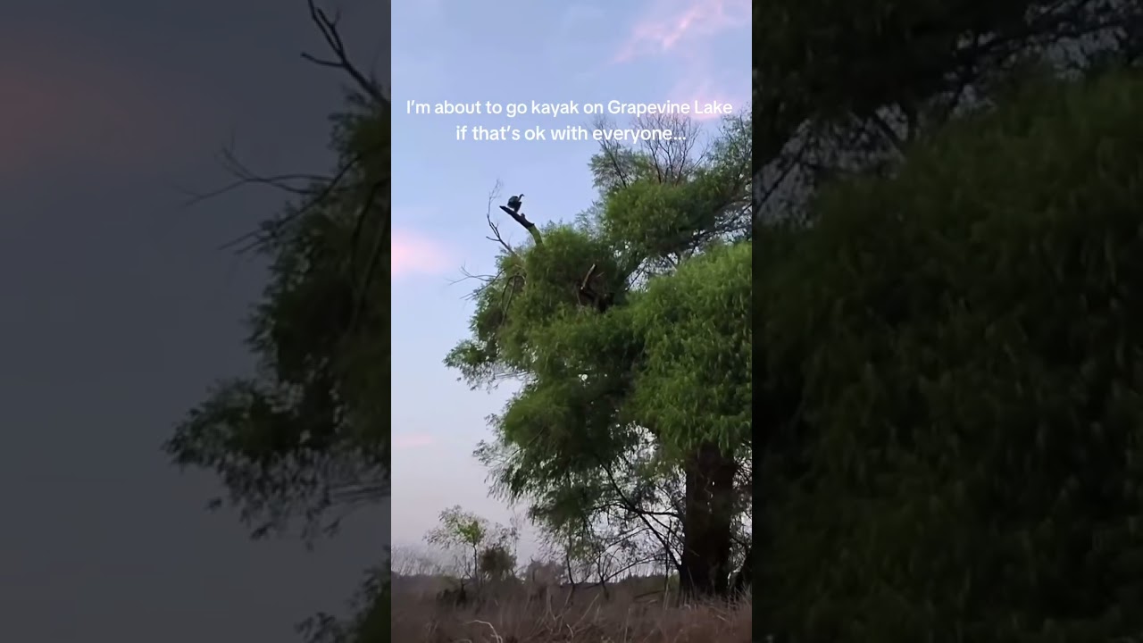 If that’s ok with everyone… 