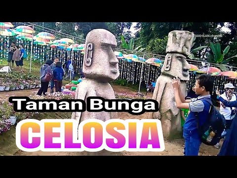 Taman Bunga Celosia Indah Banget