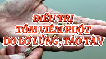ĐIỀU TRỊ TÔM BỊ VIÊM RUỘT DO LƠ LỬNG, XÁC TẢO TÀN | Trương Anh Quang Official