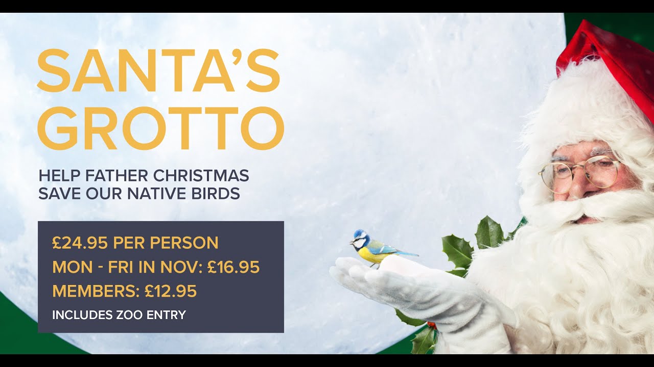 Banham Zoo: Christmas Grotto 2022