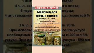 МАРИНАД ДЛЯ ЛЮБЫХ ГРИБОВ #рецепты #youtubeshorts #рецепт #ксюшакулинар #еда #вкуснаяминутка